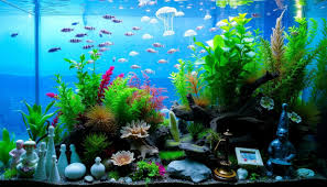 images - 2026-01-29T140658.642